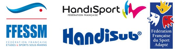 190807 Logo Handisub
